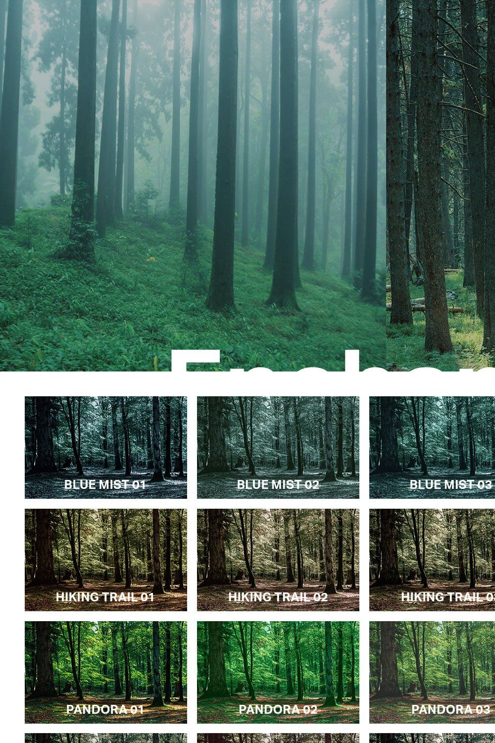 25 Enchanted Forest Lightroom Preset pinterest preview image.