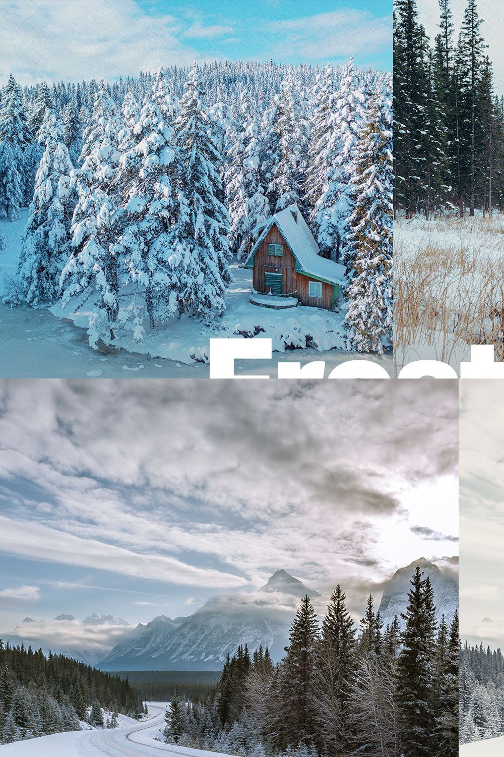 25 Frosty Forest Lightroom Presets pinterest preview image.