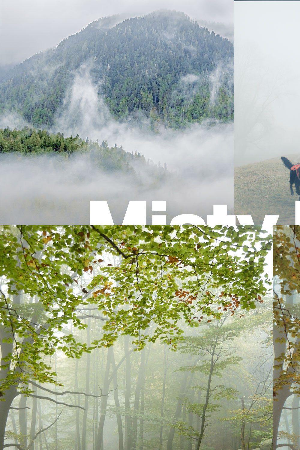 25 Misty Mornings Lightroom Presets pinterest preview image.