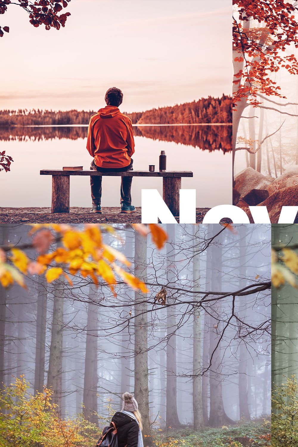 25 November Lightroom Presets & LUTs pinterest preview image.