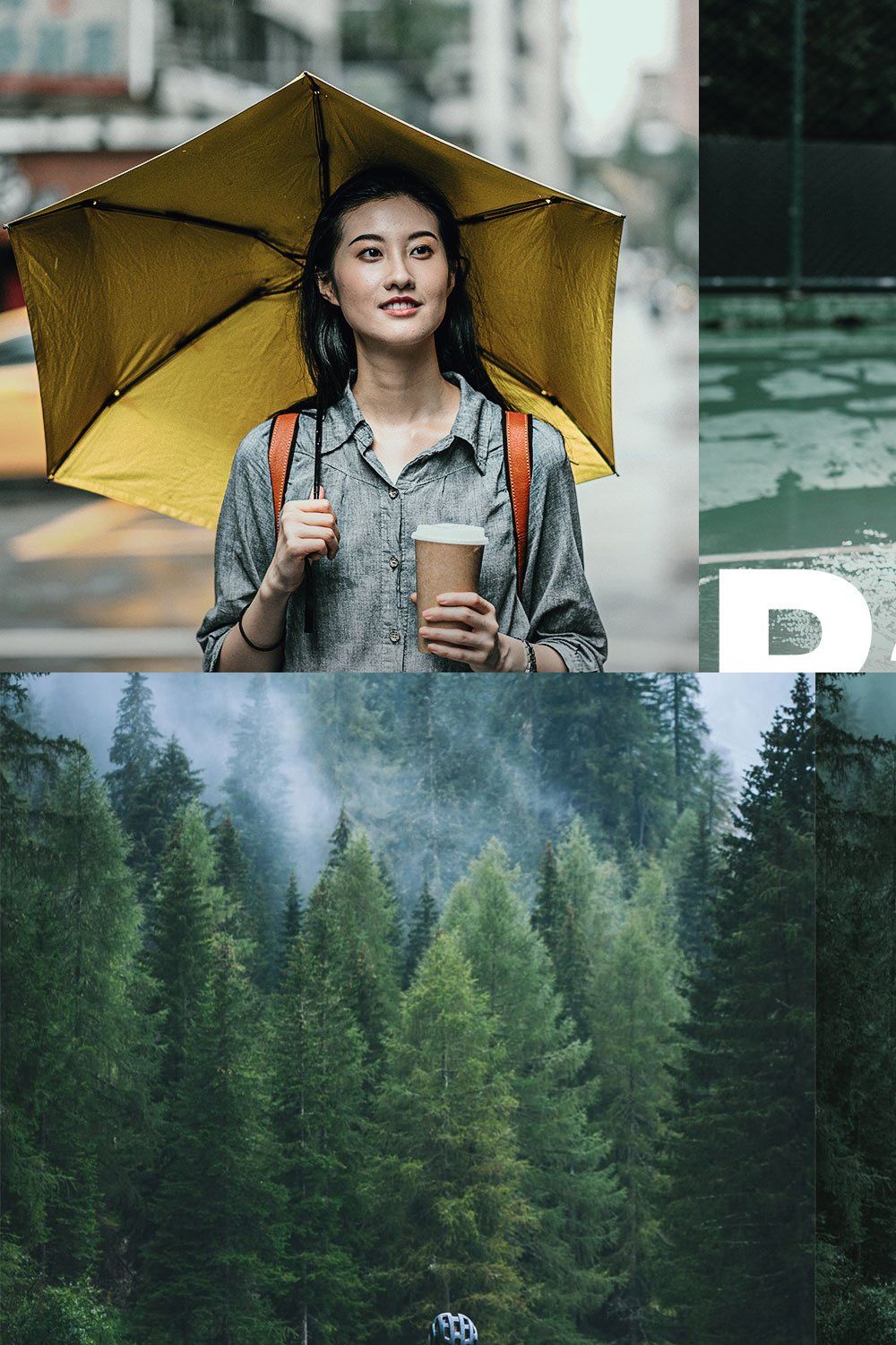 25 Rainy Lightroom Presets and LUTs pinterest preview image.