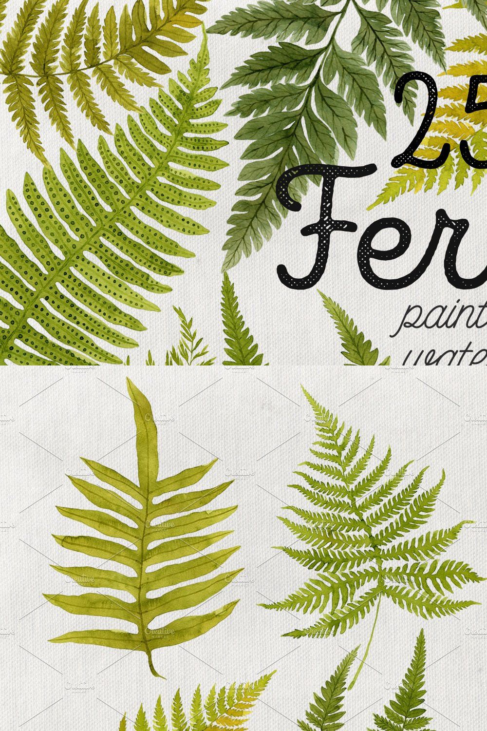 25 Watercolor Ferns pinterest preview image.