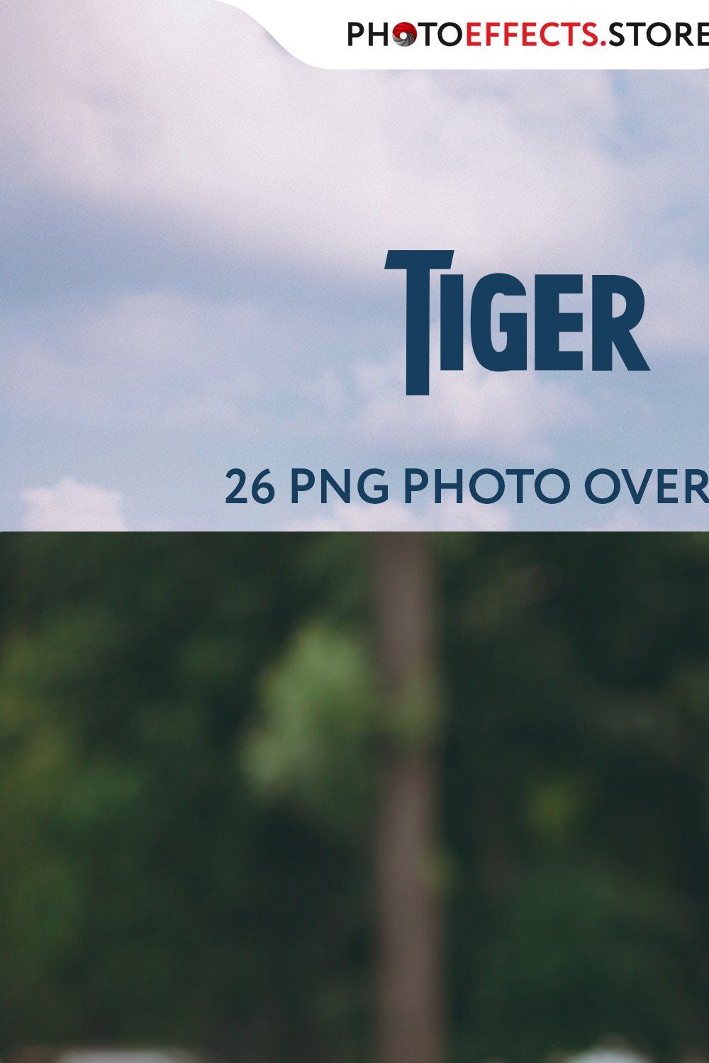 26 Tiger Photo Overlays pinterest preview image.