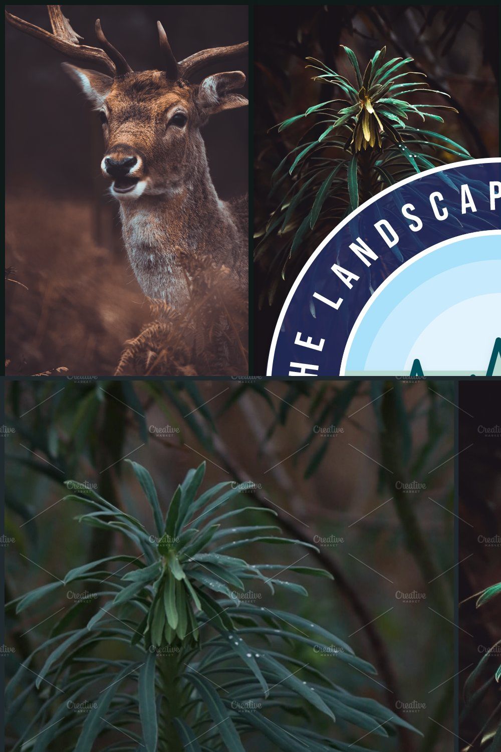 27 Landscape Lightroom Presets pinterest preview image.