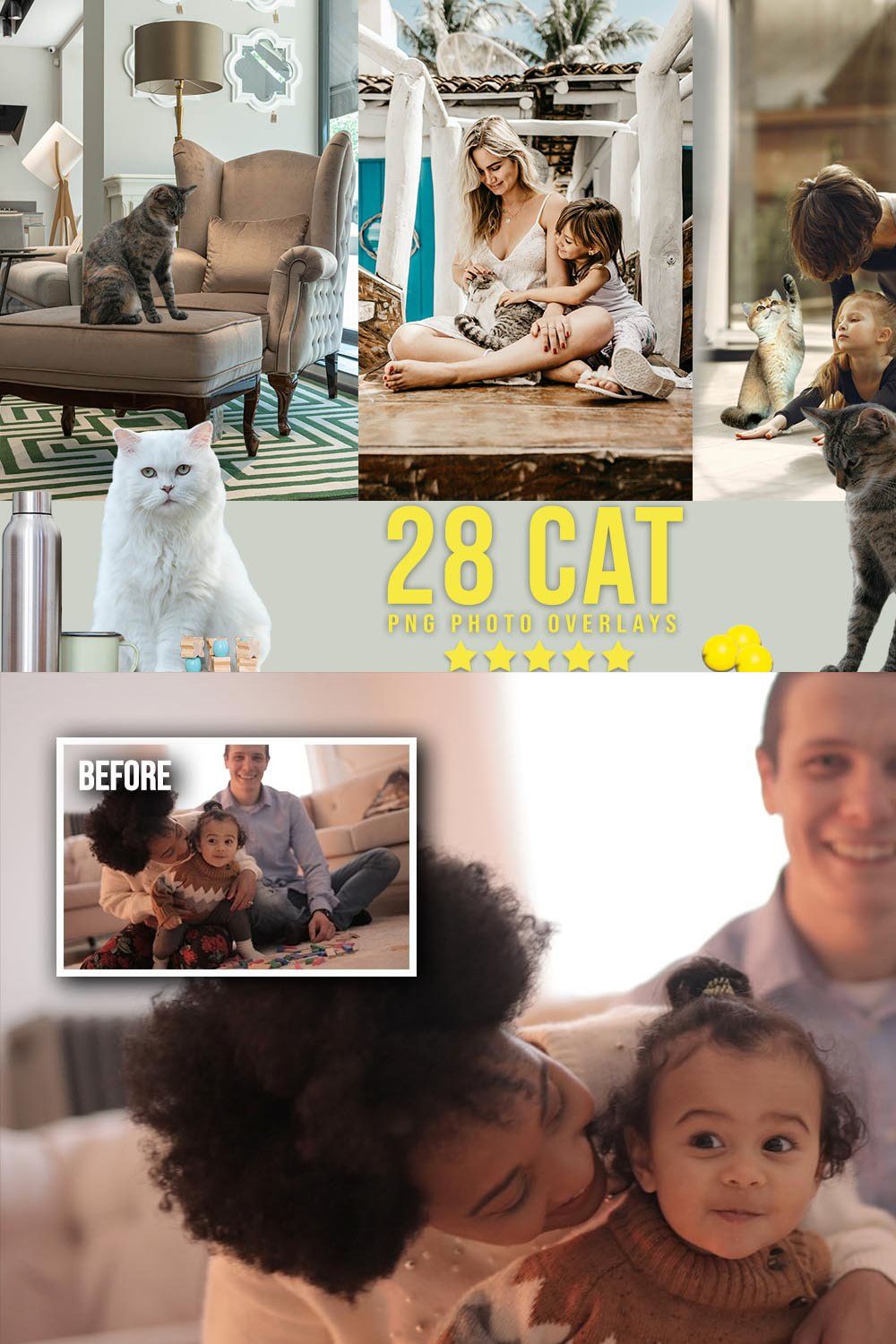 28 Cat Photoshop Overlays pinterest preview image.