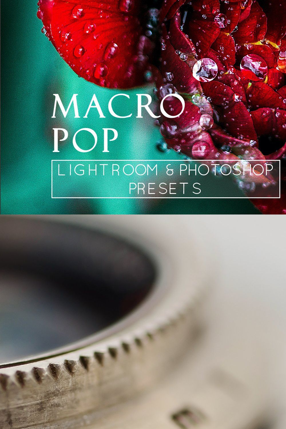 3 Macro Pop Detail LR & PS Presets pinterest preview image.