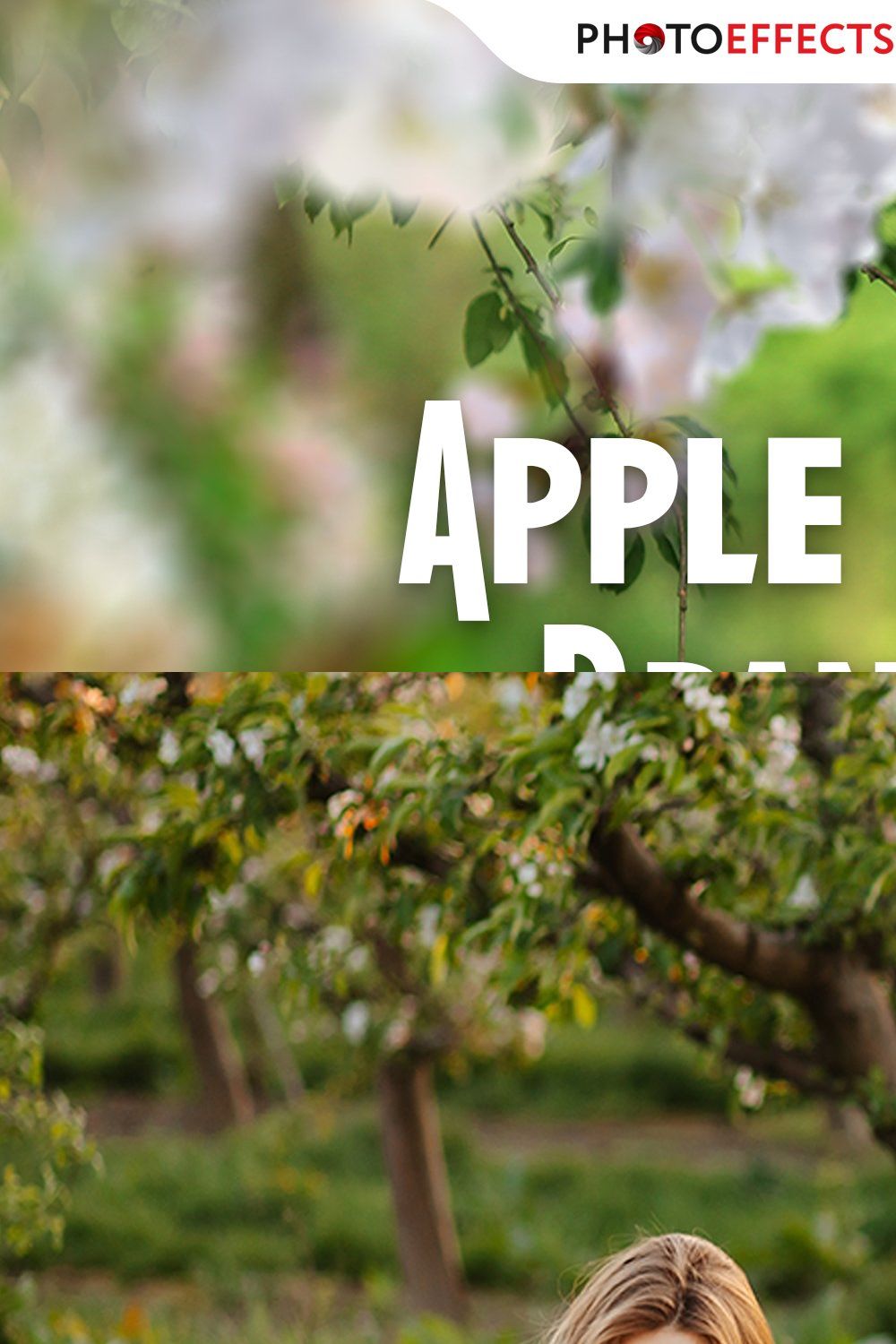 30 Apple Tree Branch Photo Overlays pinterest preview image.