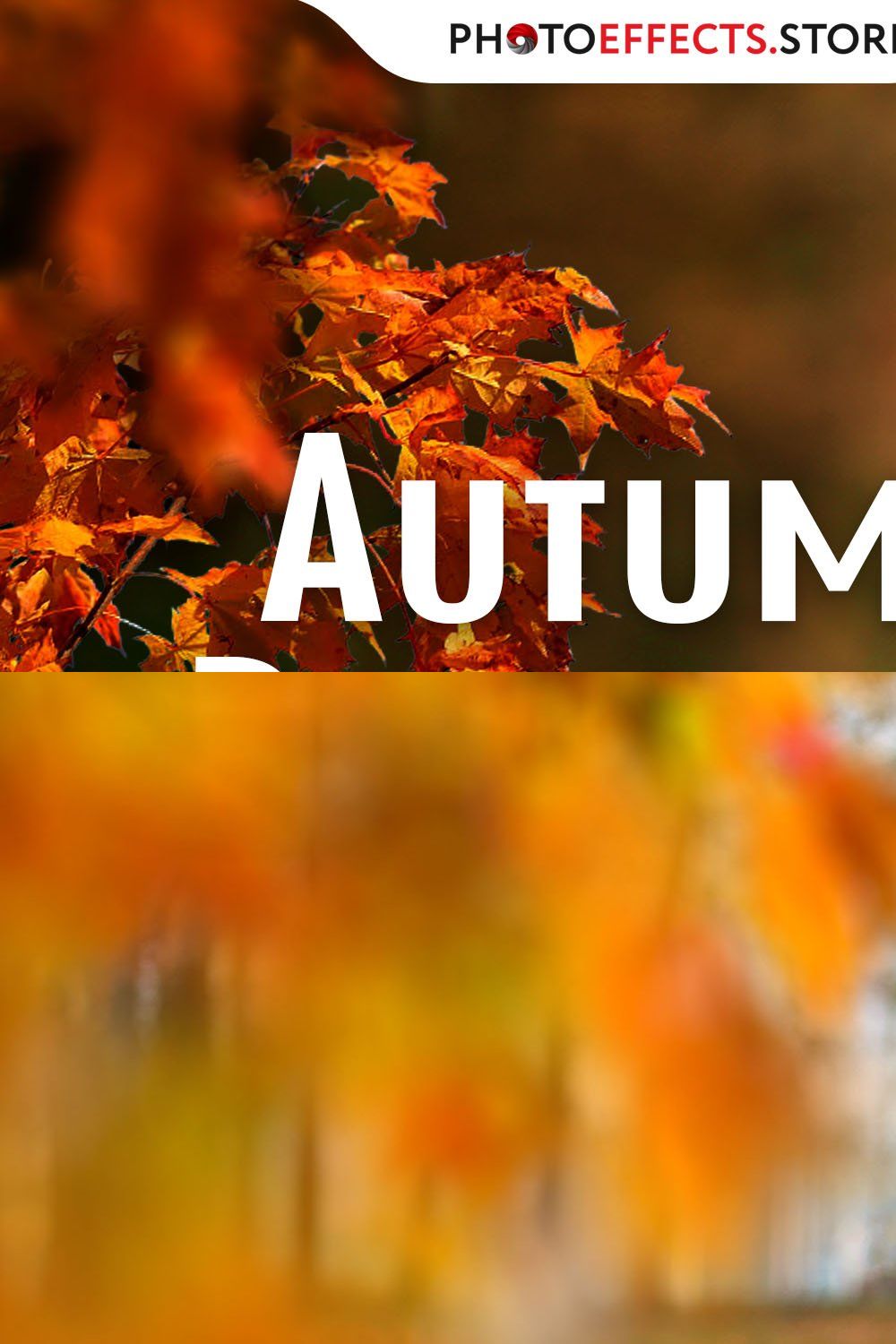 30 Autumn Branch Photo Overlays pinterest preview image.