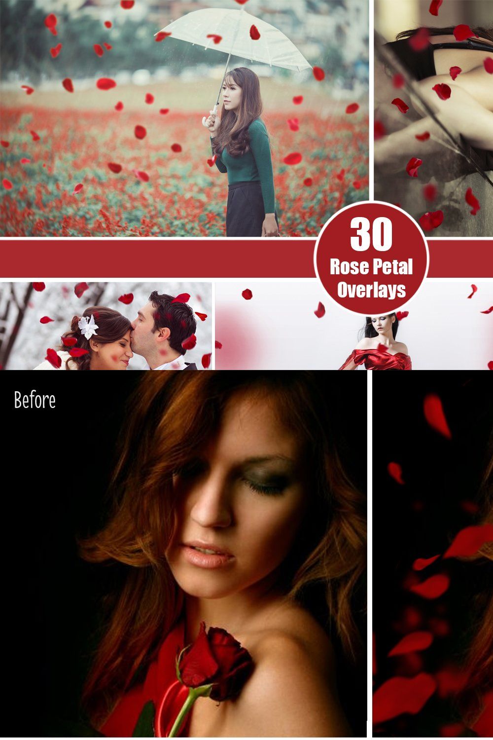 30 Falling Rose Petals Photo Overlay pinterest preview image.
