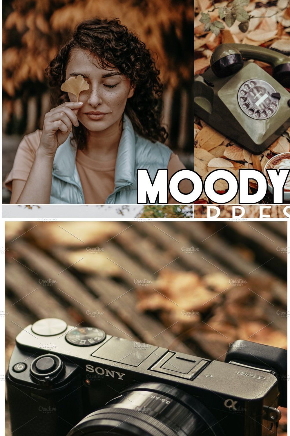 30  MOODY AUTUMN PRESETS pinterest preview image.