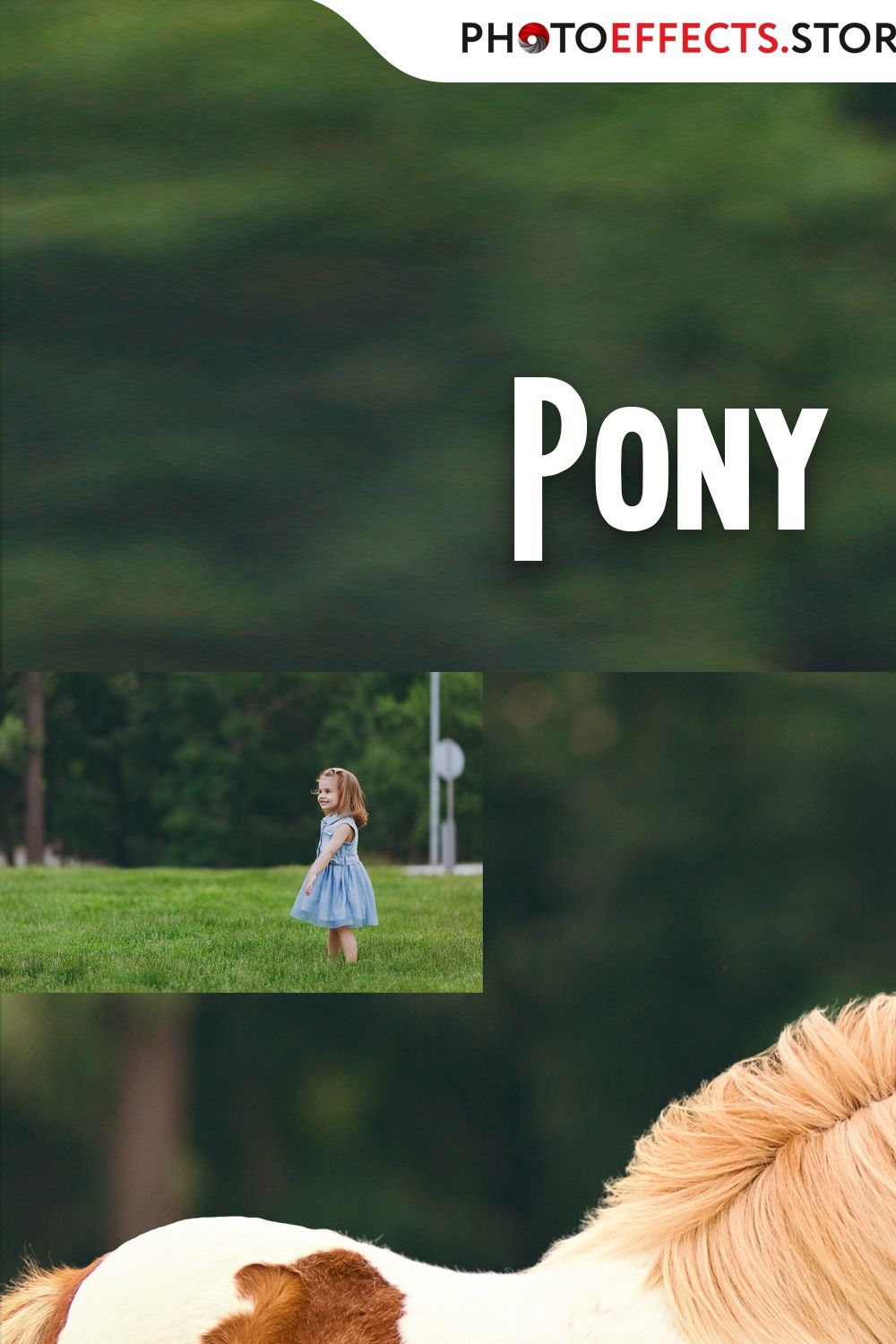 31 Pony Photo Overlays pinterest preview image.