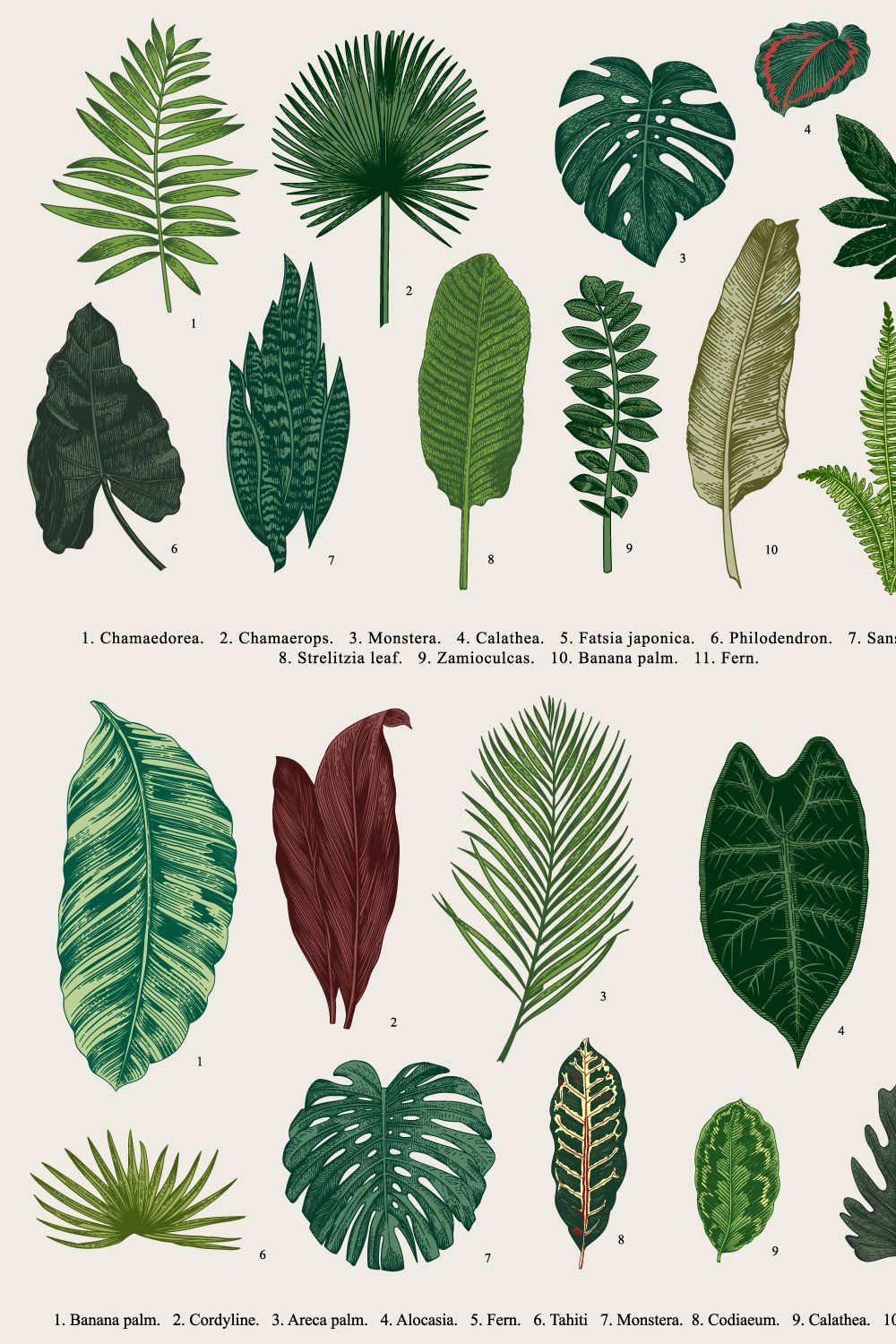 33 Exotic leaves pinterest preview image.