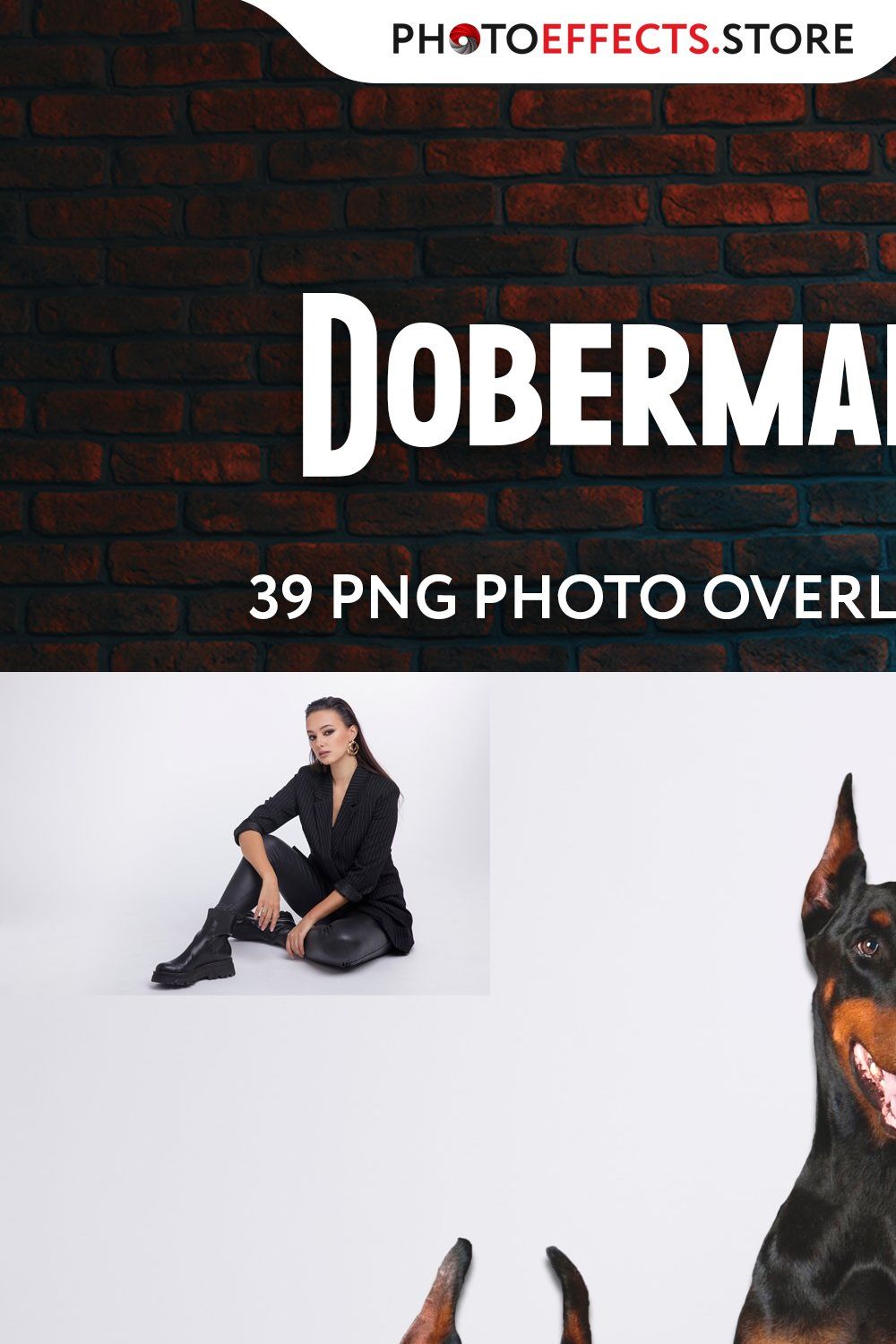 39 Doberman Photo Overlays pinterest preview image.