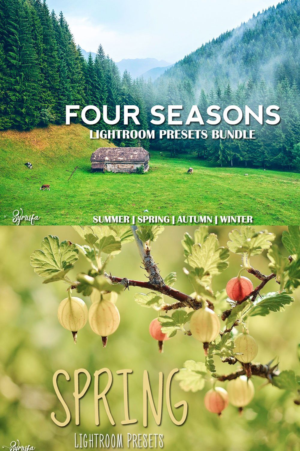 4 Seasons Lightroom Presets Bundle pinterest preview image.