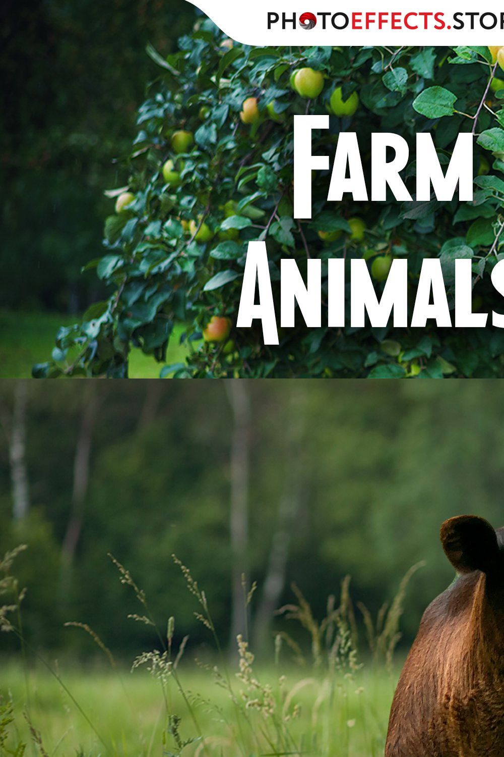 46 Farm Animals Photo Overlays pinterest preview image.