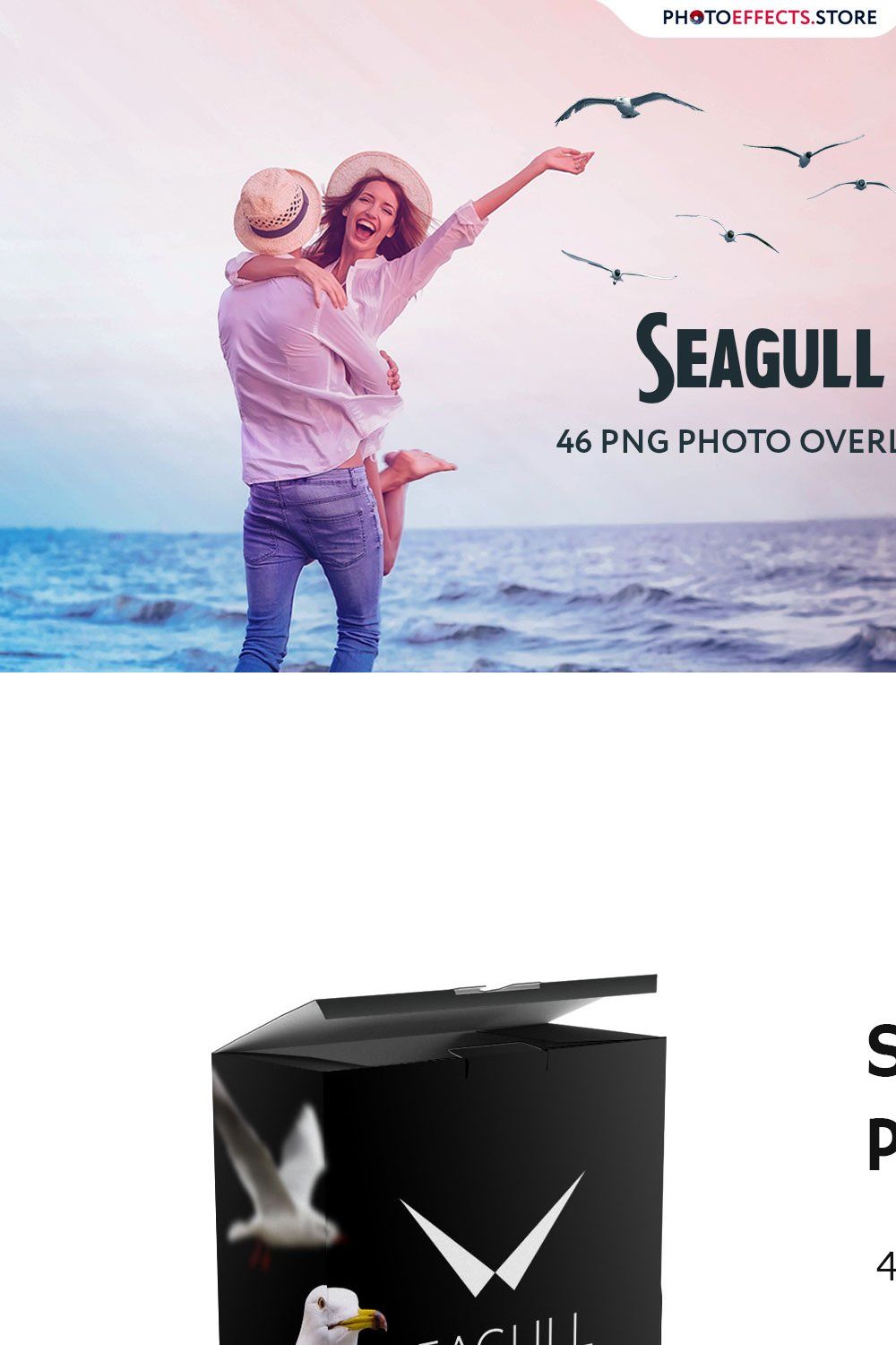 46 Seagull Photo Overlays pinterest preview image.