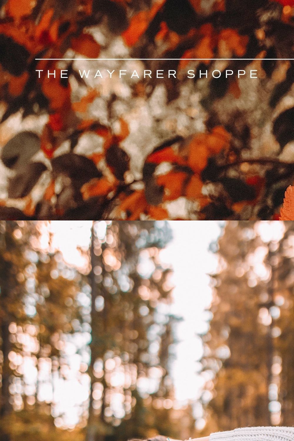 5 Autumn Lightroom Presets pinterest preview image.