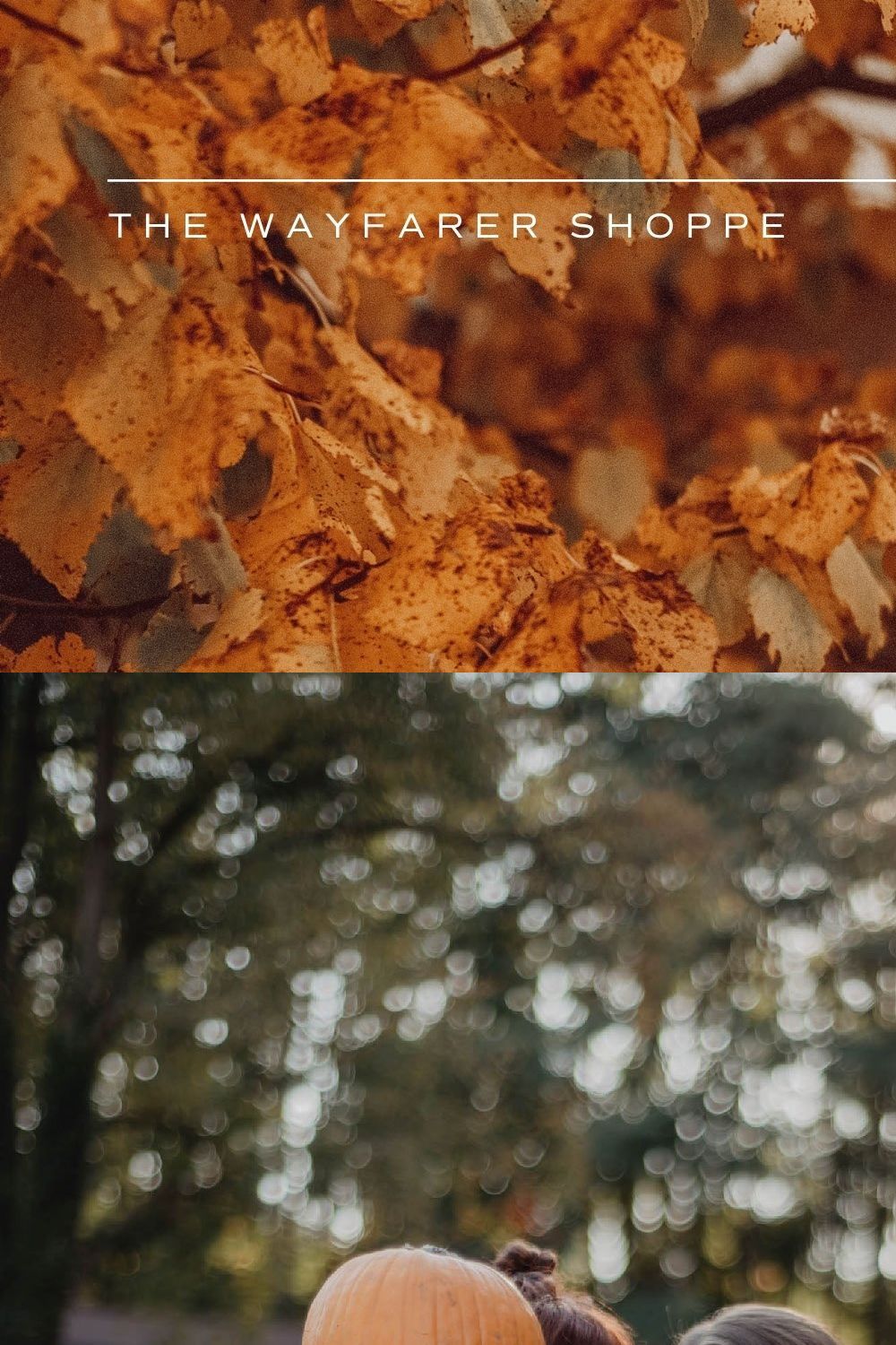 5 Fall Lightroom Presets pinterest preview image.