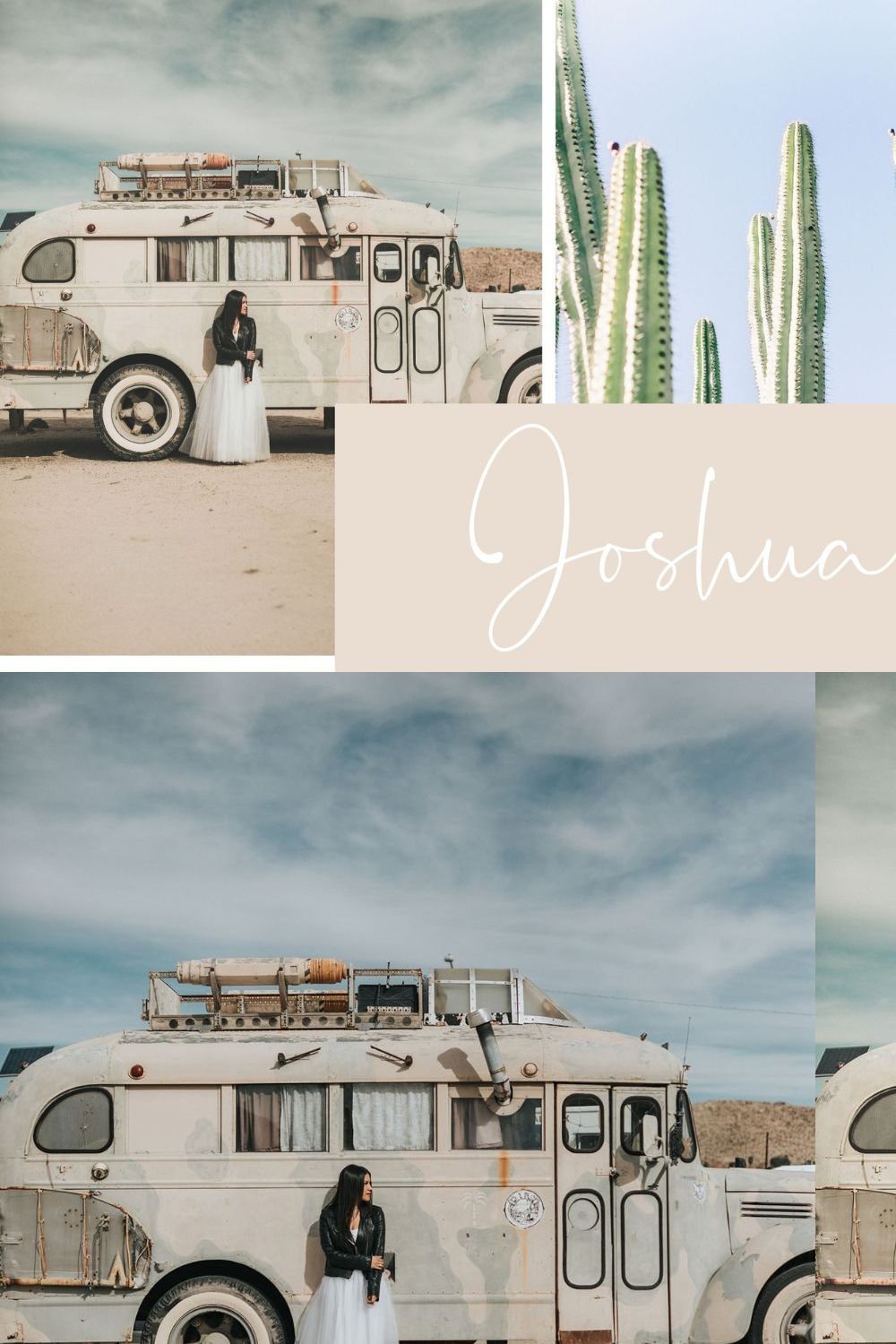 5 JOSHUA TREE LIGHTROOM PRESETS pinterest preview image.