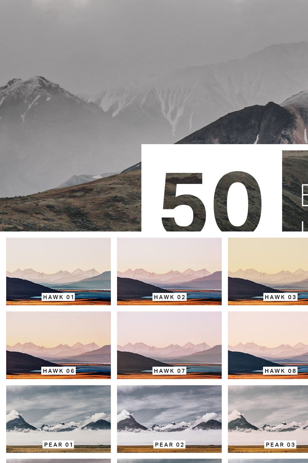 50 Bleak Lightroom Presets + LUTs pinterest preview image.