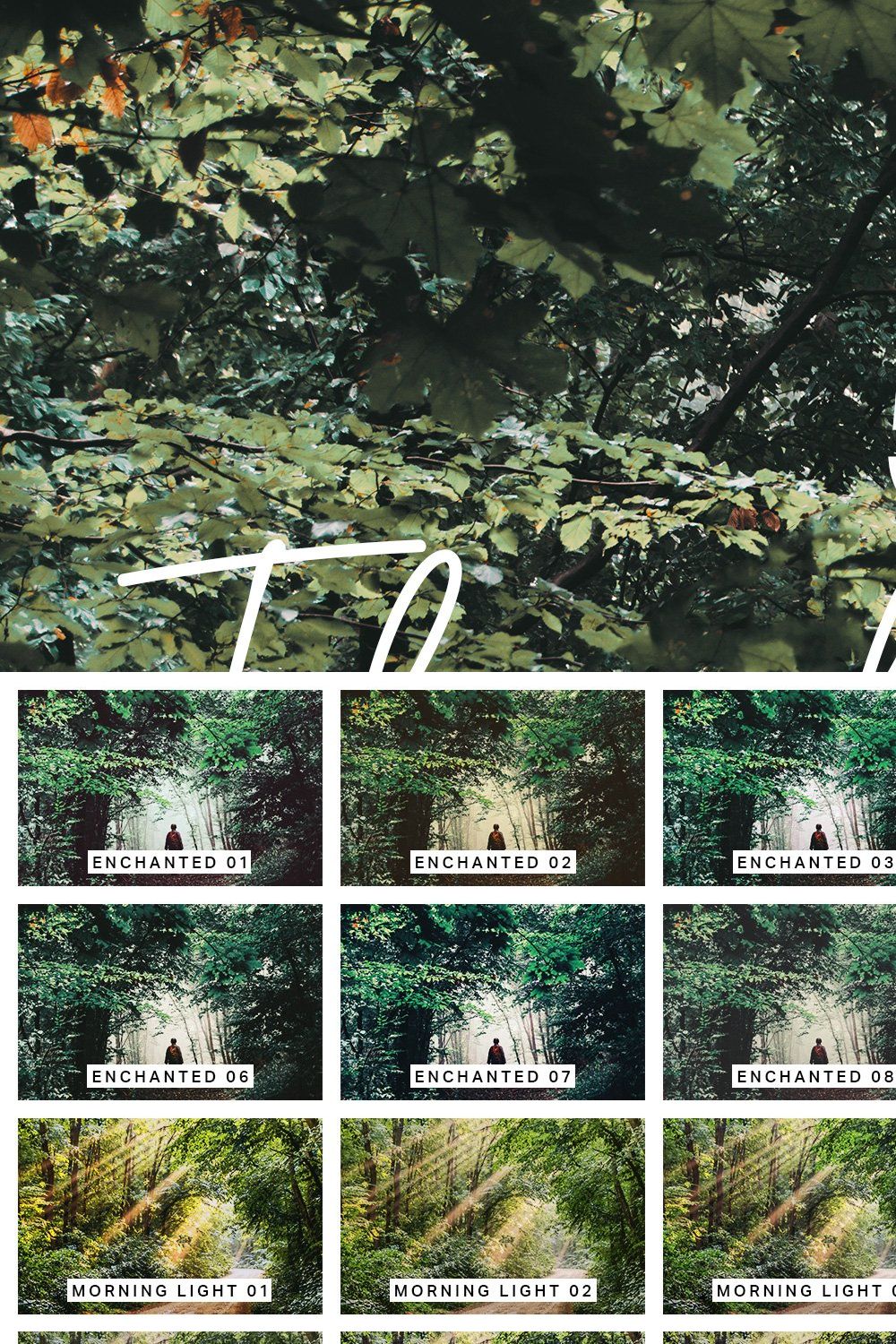 50 Forest Lightroom Presets and LUTs pinterest preview image.