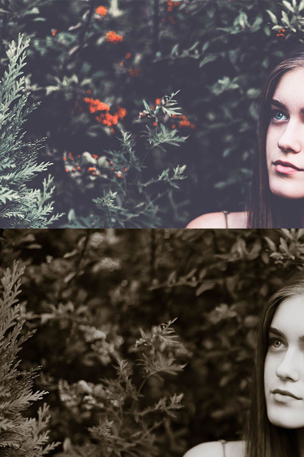 50 Moody Presets for Lightroom pinterest preview image.