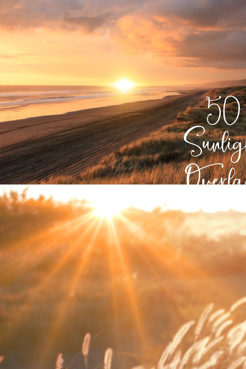 50 Natural Sunlight Photo Overlays pinterest preview image.