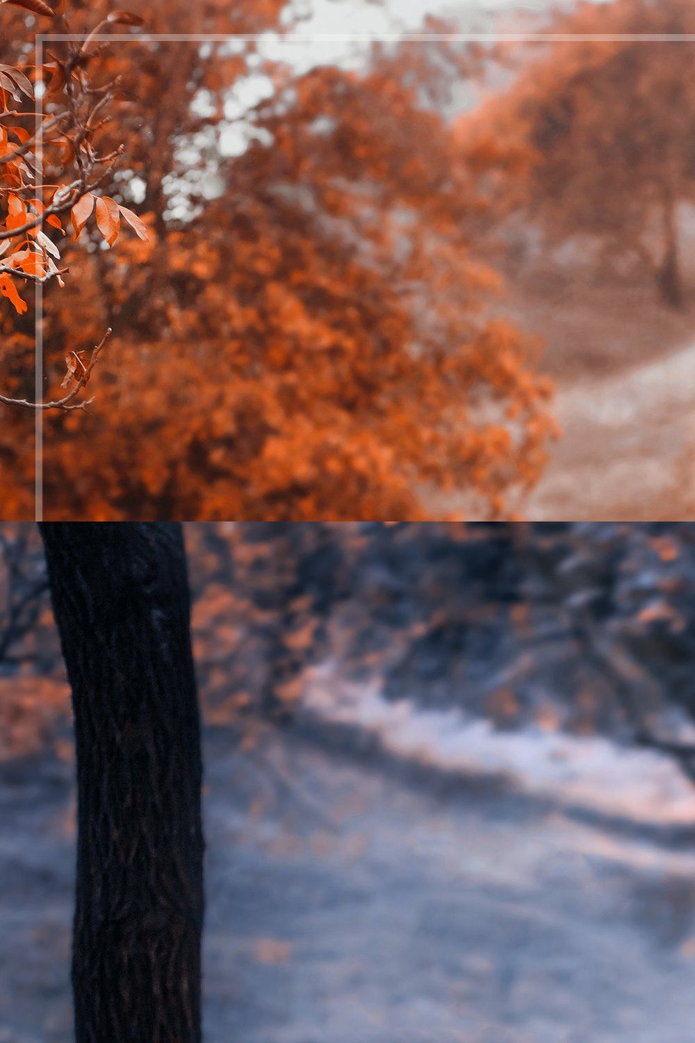 50Autumn Vibes LUTs and Presets Pack pinterest preview image.