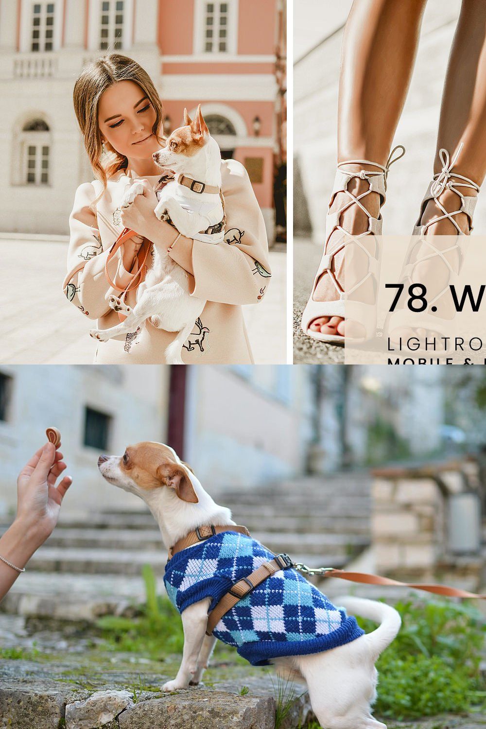 78. Warm Enough Presets pinterest preview image.