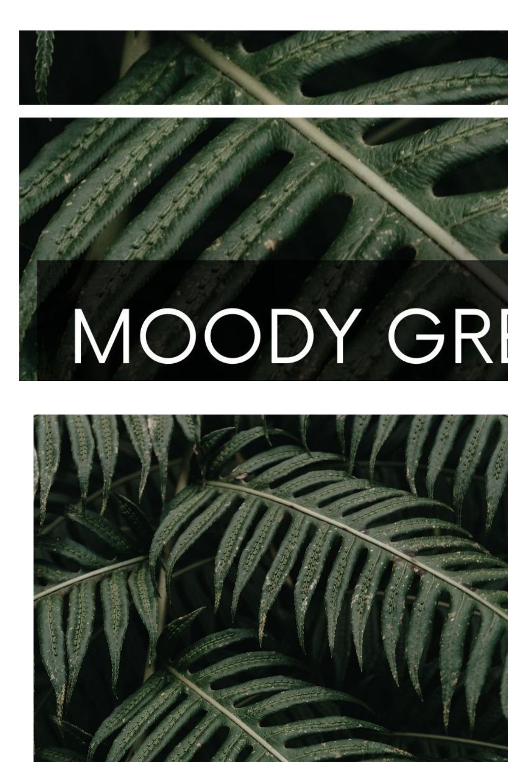 9 Lightroom Presets Pack Moody Green pinterest preview image.