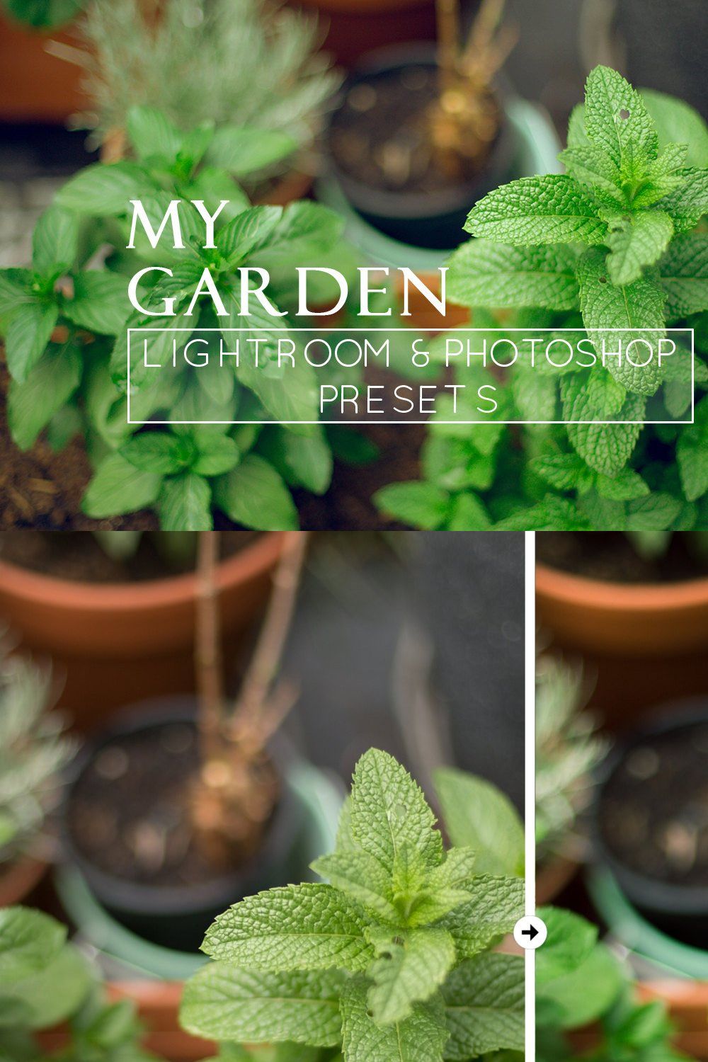 9 Nature Lightroom Presets pinterest preview image.