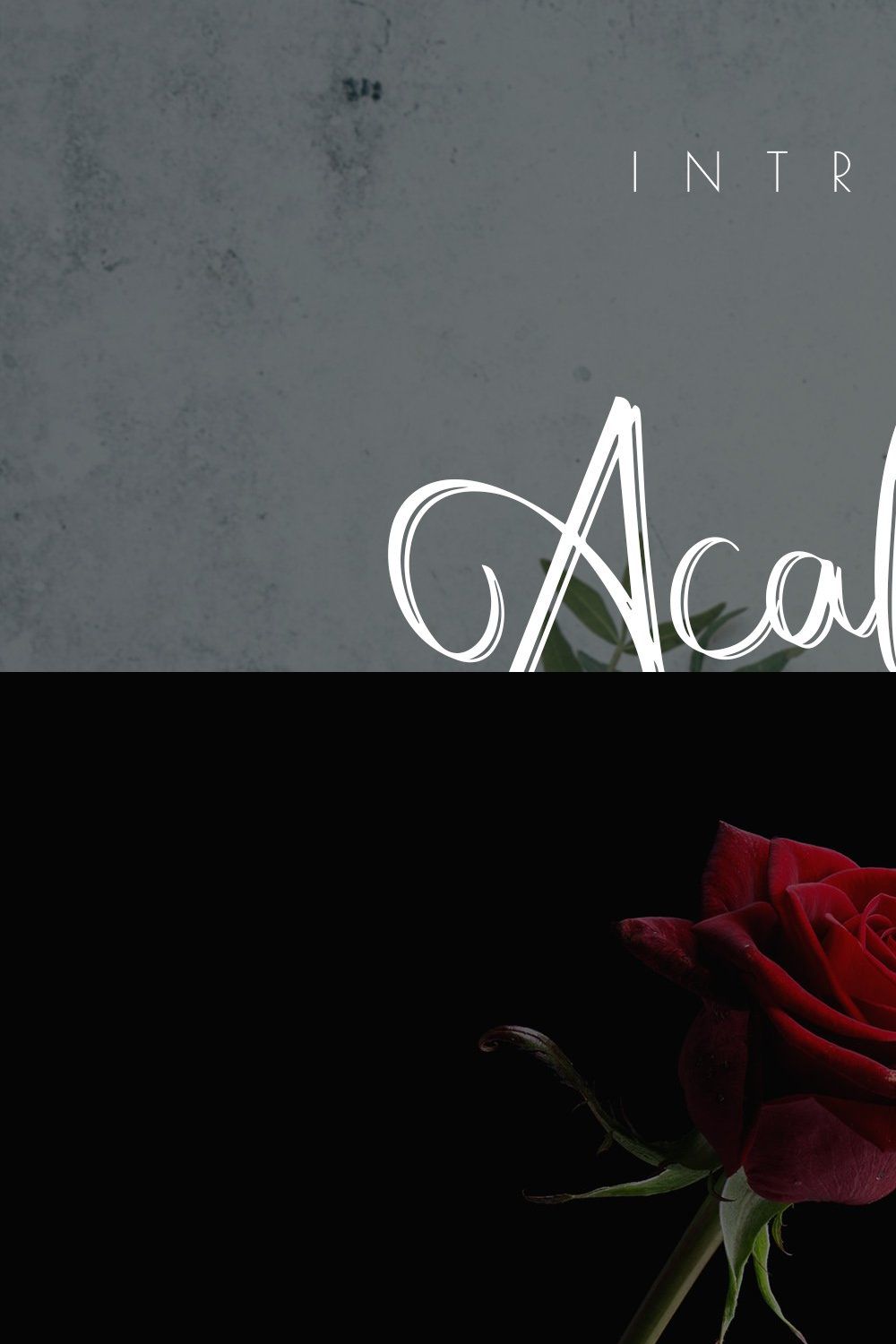 Acallypha - Handwritten Script Font pinterest preview image.