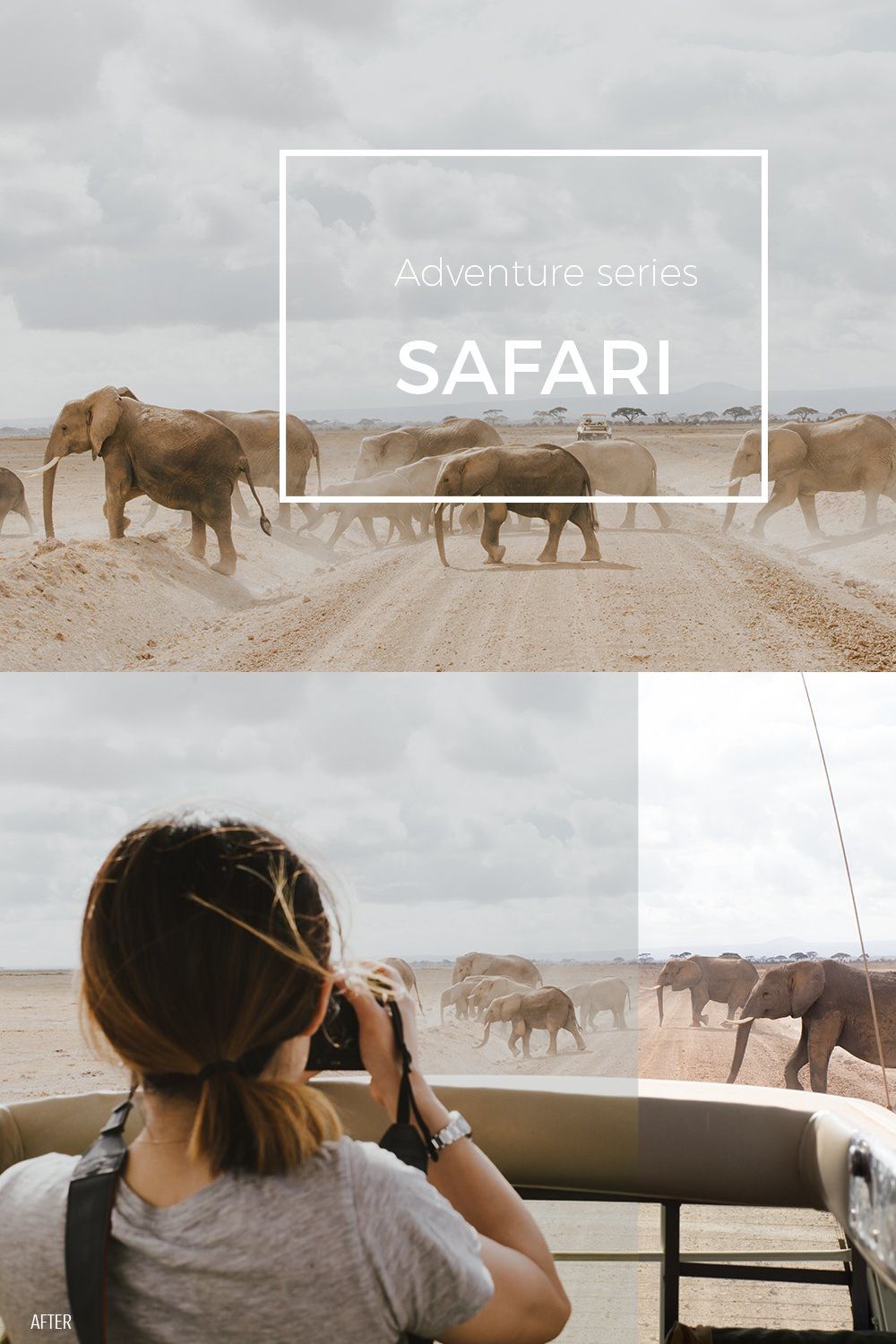 Adventure Series: Safari LR Preset pinterest preview image.