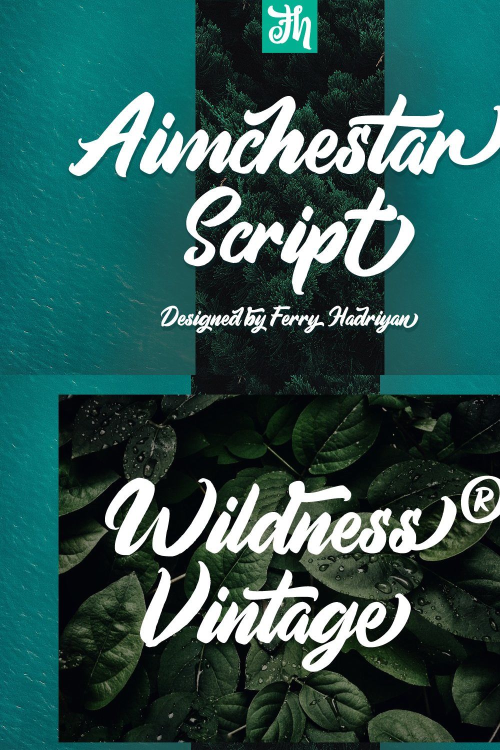 Aimchestar - Script Font pinterest preview image.