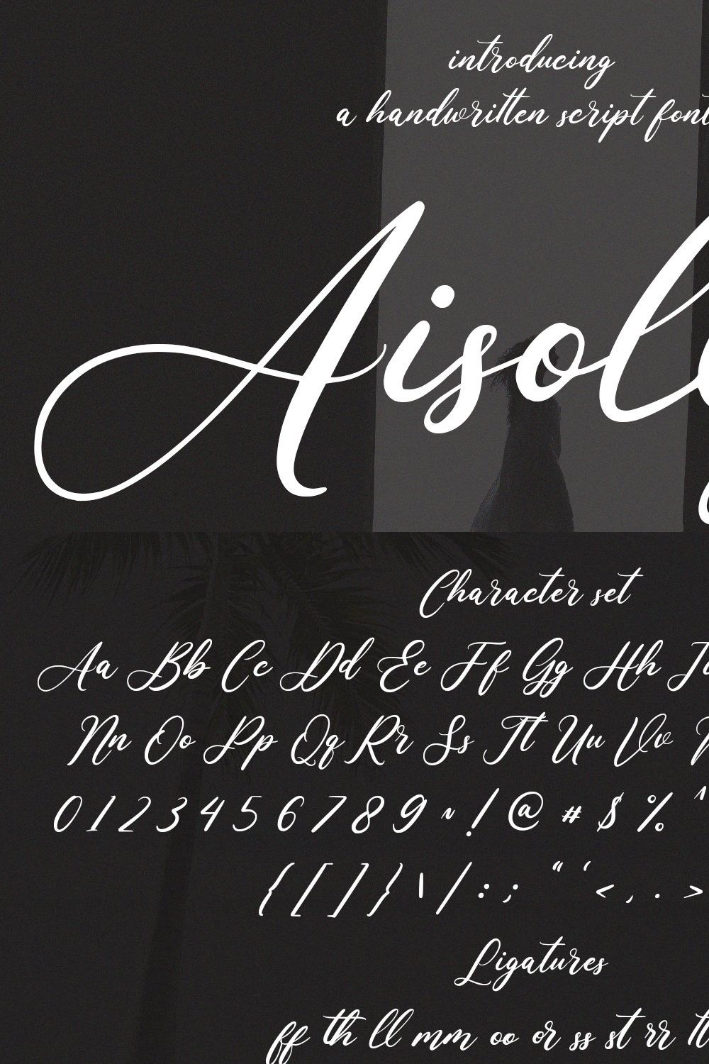 Aisollya Beauty Script Font pinterest preview image.