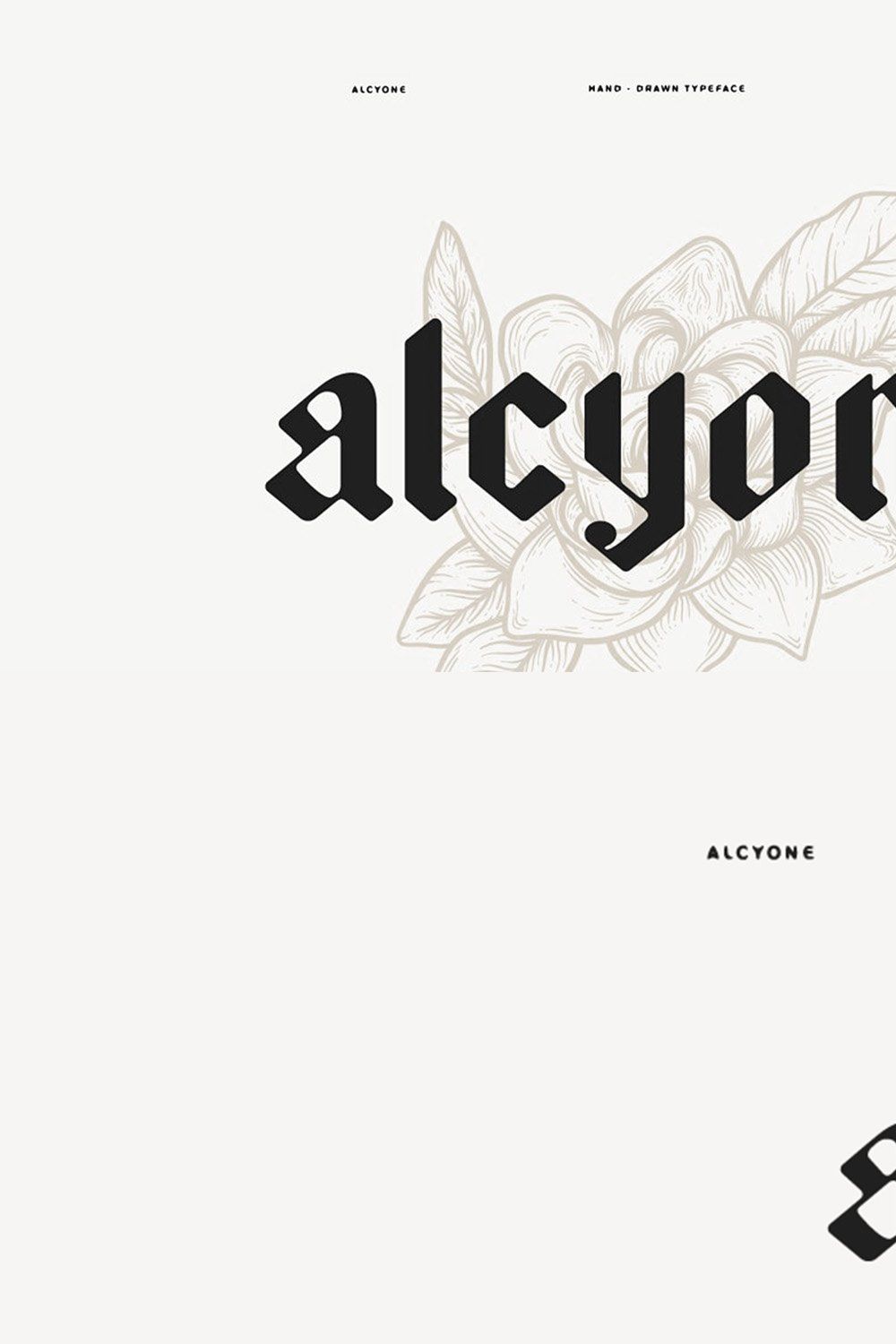 Alcyone Display Font + Illustrations pinterest preview image.