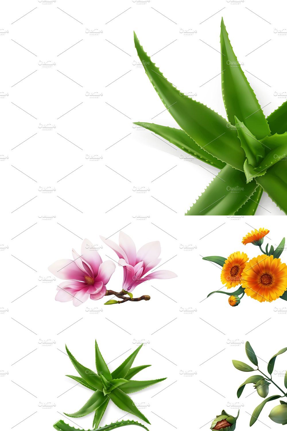 Aloe, rose, tea, skin care, vectors pinterest preview image.