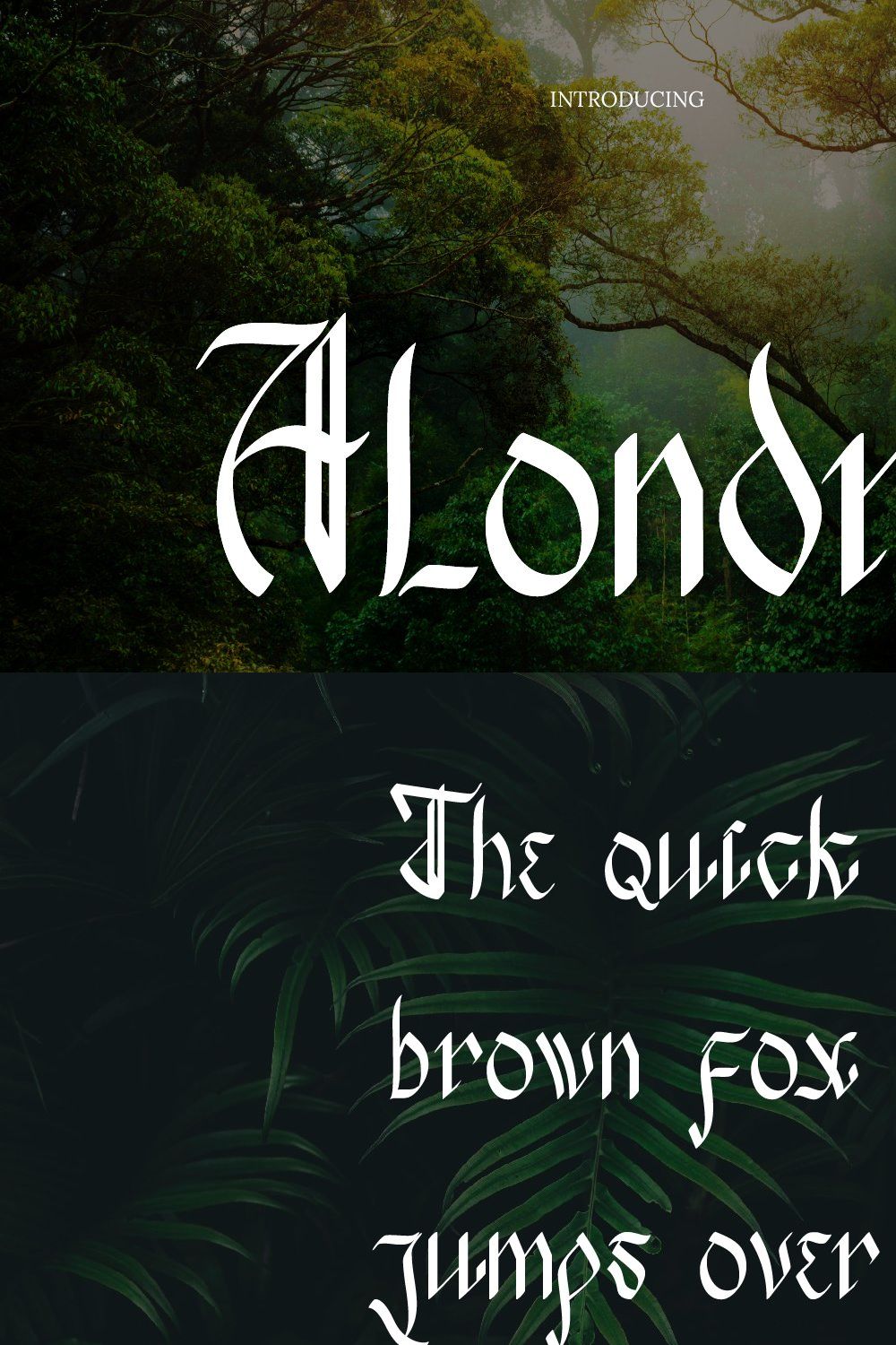 Alondra Handwritten Font pinterest preview image.