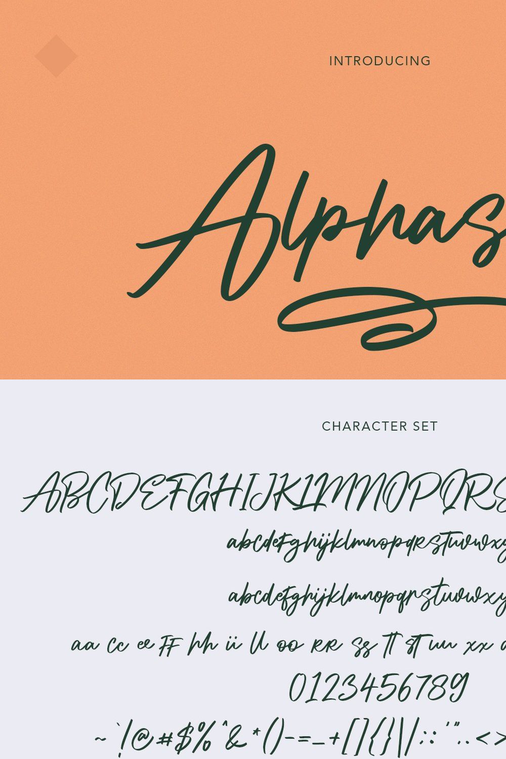 Alphasoil Signature Font pinterest preview image.