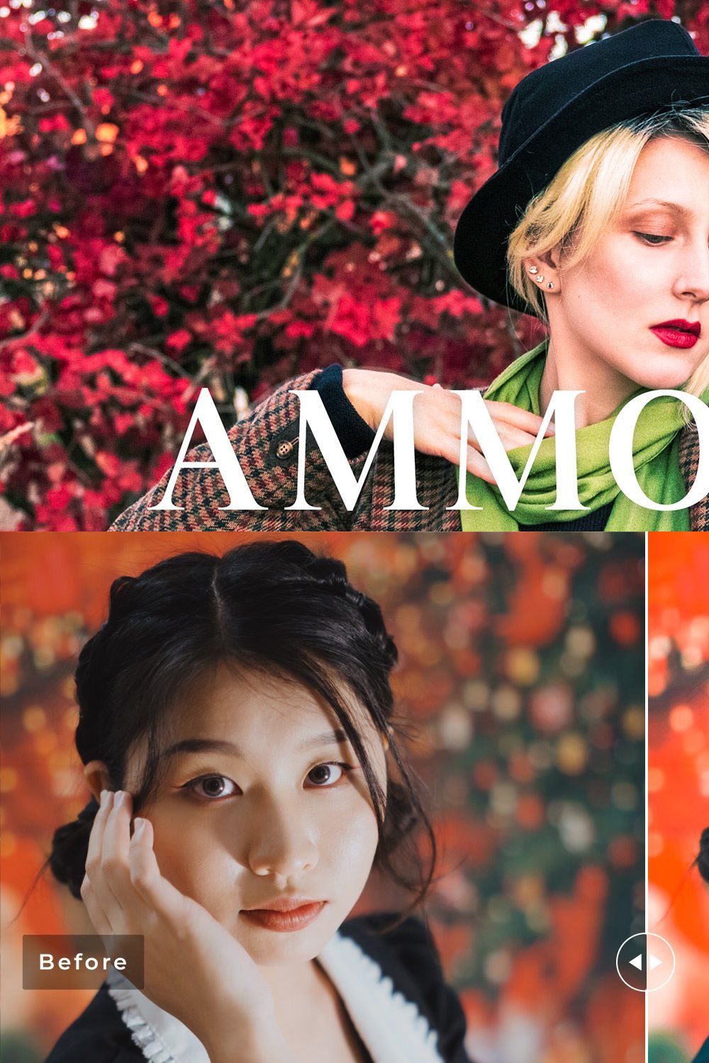 Ammolite Pro Lightroom Presets pinterest preview image.