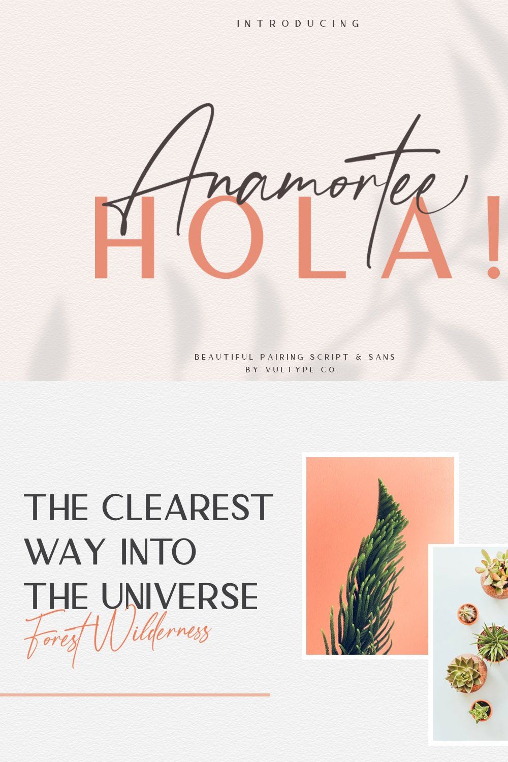 Anamortee // Modern Calligraphy Font pinterest preview image.