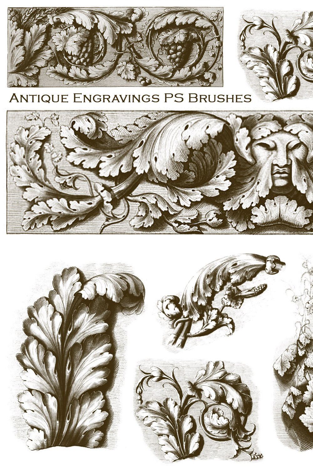 Antique Engravings PS Brushes pinterest preview image.