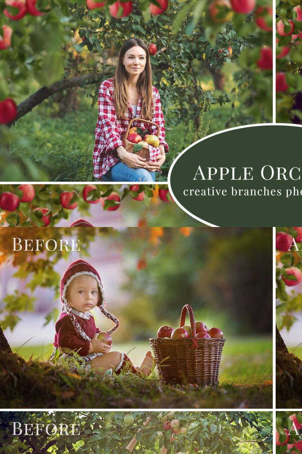 Apple Orchard photo overlays pinterest preview image.