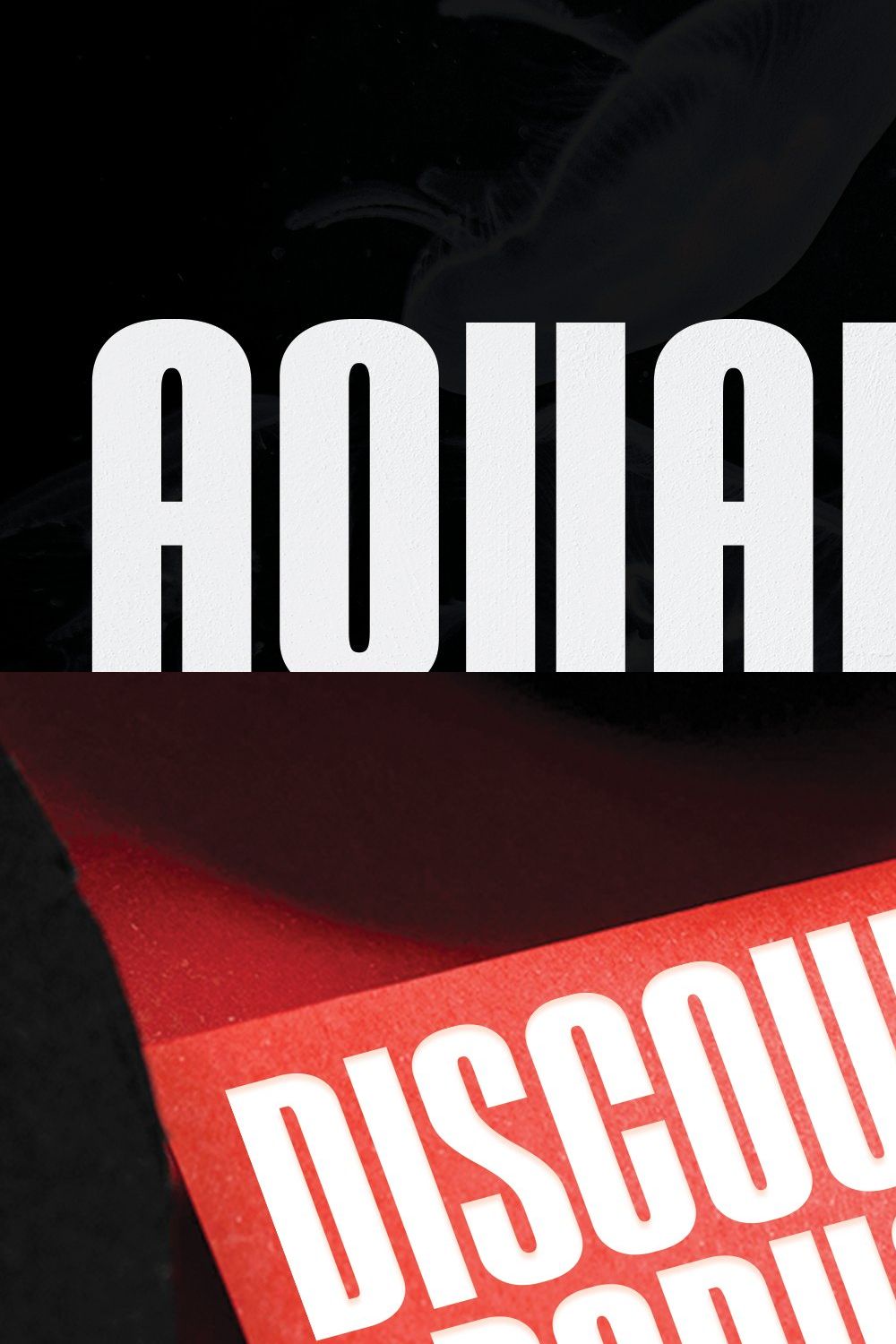 AQUARIUM / Sans Serif Font pinterest preview image.