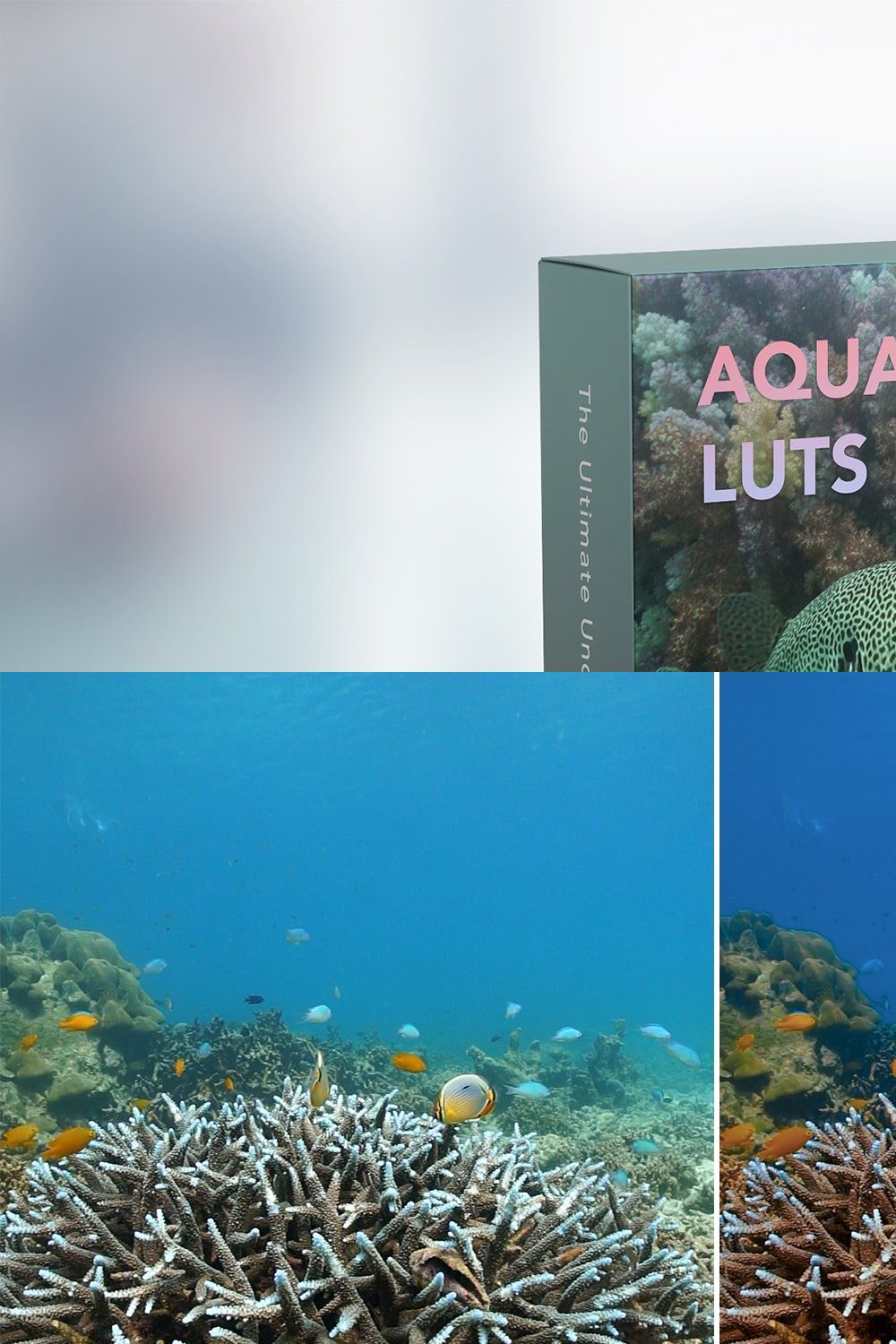 Aquatic LUTs Pack pinterest preview image.