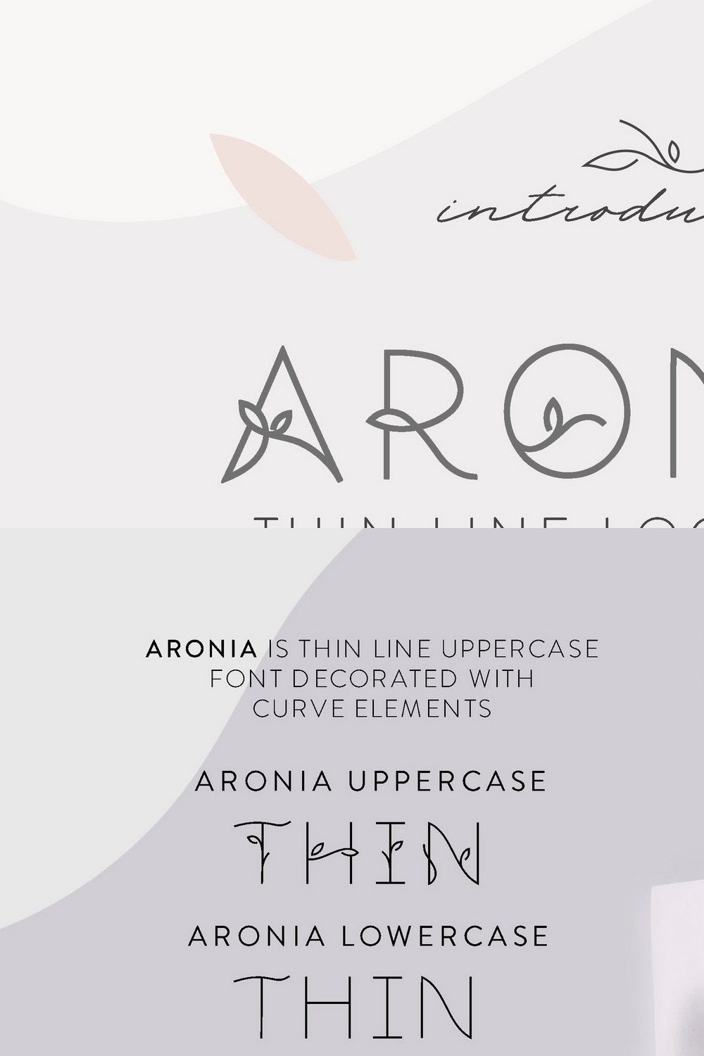 Aronia - Thin Line Logo Font pinterest preview image.