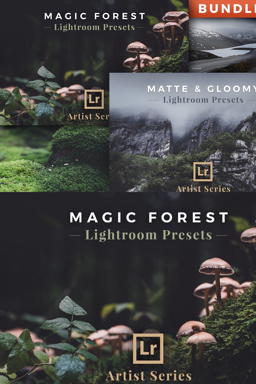 Artist Series – Lightroom Bundle 03 pinterest preview image.