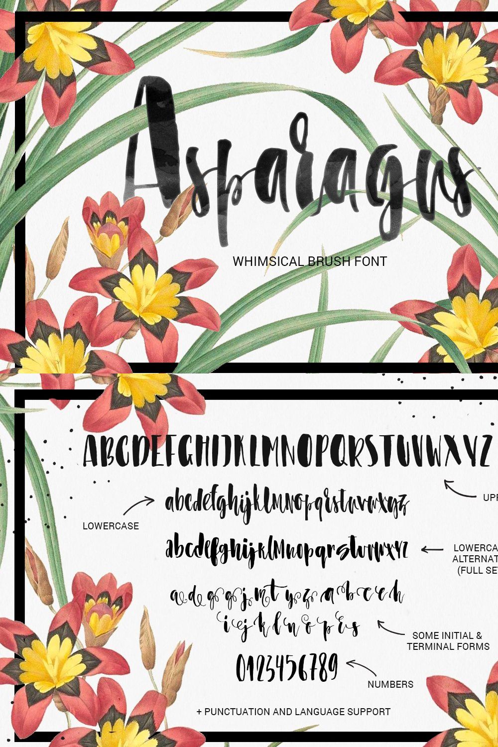 Asparagus - whimsical brush font pinterest preview image.