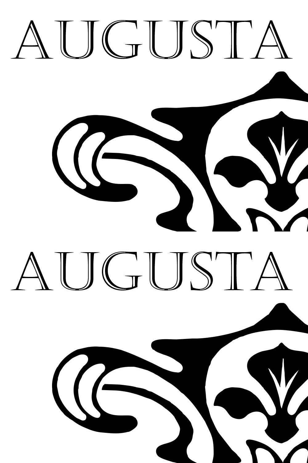 Augusta Torino Ornaments pinterest preview image.