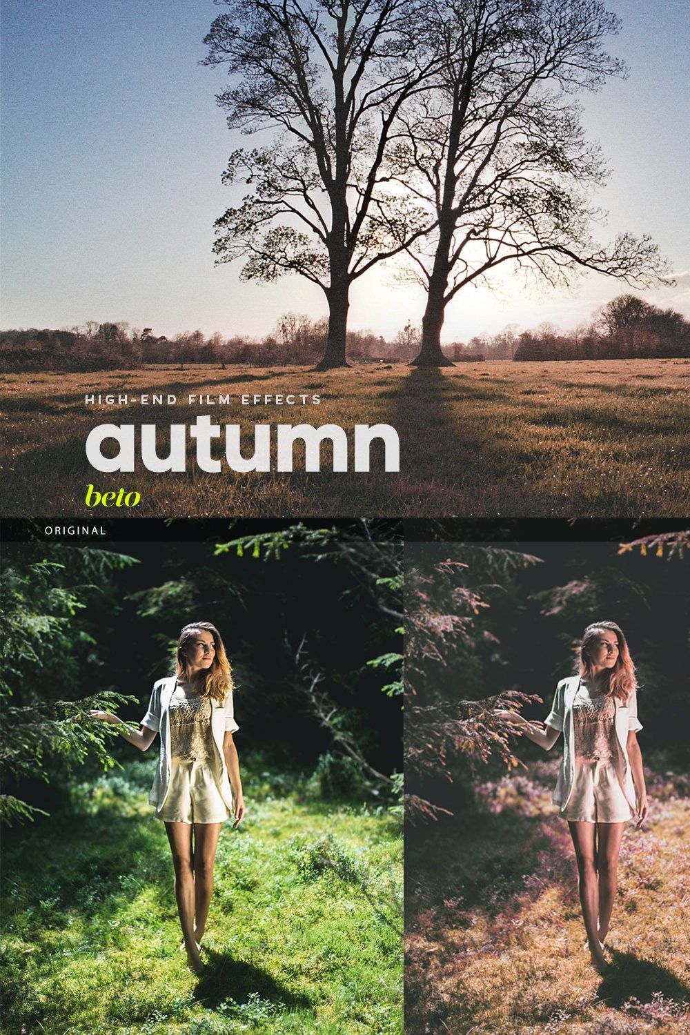 Autumn Action pinterest preview image.